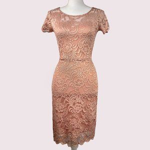 Ambience Pink Lace Dress